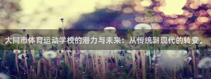注册JJB竞技宝官方正版app:大同市体育运动学校的潜力与未