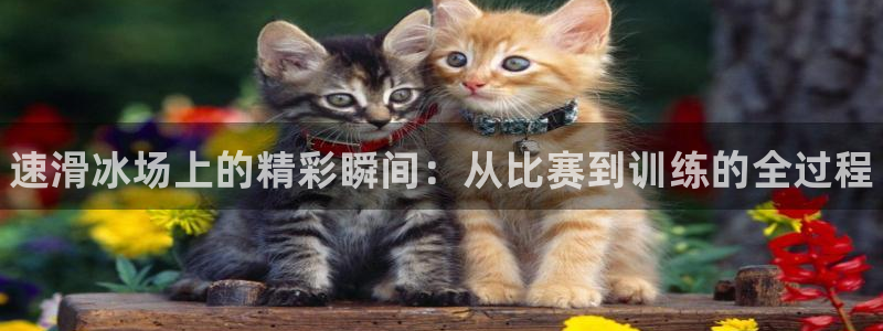 JJB竞技宝官方正版app娱乐首页官网下载:速滑冰场上的精彩