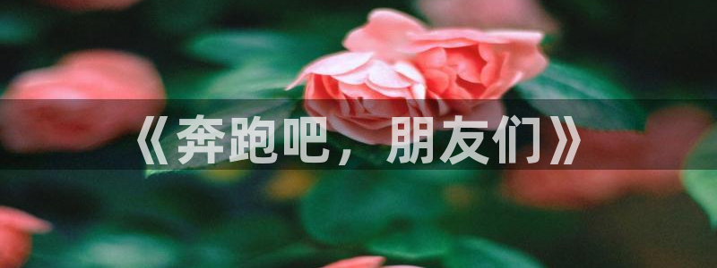 JJB竞技宝官方集团官网:《奔跑吧,朋友们》