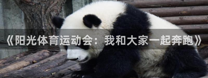 JJB竞技宝官方正版app娱乐首页官网下载:《阳光体育运动会