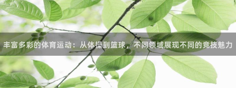 JJB竞技宝官网下载招商电话号码是多少:丰富多彩的体育运动: