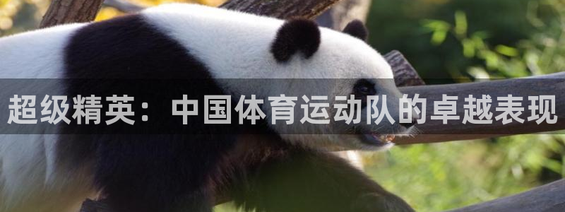 JJB竞技宝官网下载平台是正规平台吗安全吗:超级精英:中国体