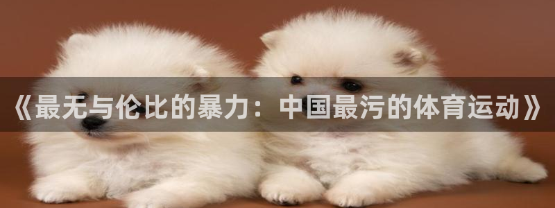 JJB竞技宝官网下载平台注册:《最无与伦比的暴力:中国最污的